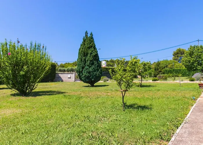 Danka With Shared Pool Пула