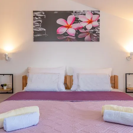 Guest house Danka With Shared Pool