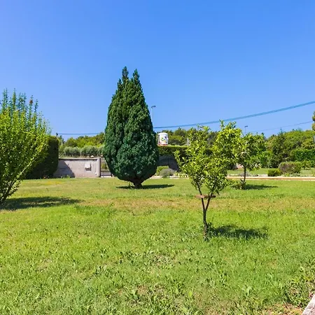 Danka With Shared Pool Пула